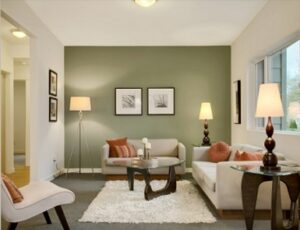Salon con pared verde oliva
